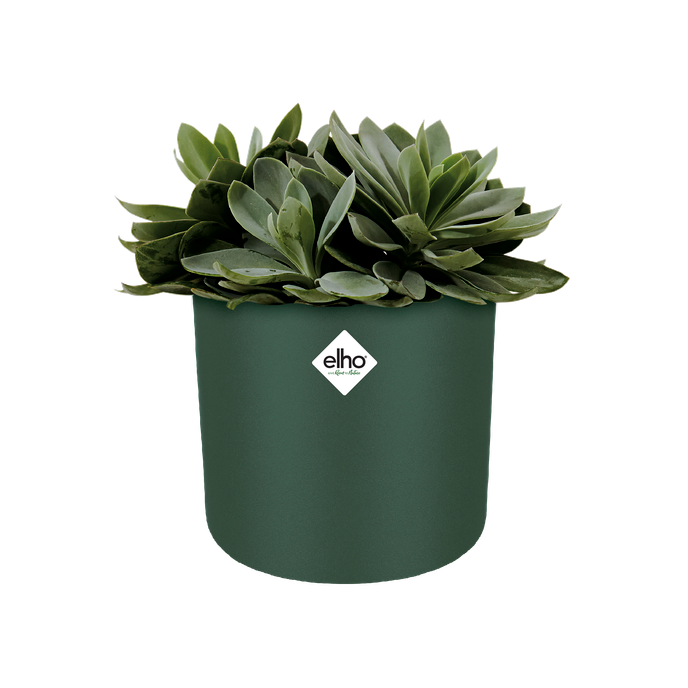 b.for soft rund 18cm laubgrün